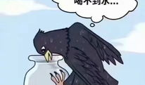 乌鸦喝水的故事视频,智慧与创新的古老寓言